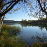 Lac de Chalain (Pergola)